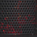 Gozney Dual Fuel Pizza Oven